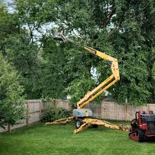 Leaf Removal in Michigan City, IN